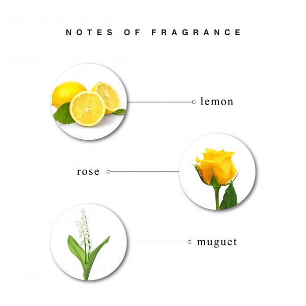 Enchanteur Charming Perfumed Talc, with Lemon, Rose And Muguet