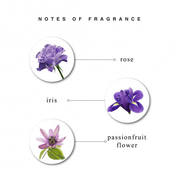 Fragrance Notes of Enchanteur Alluring Body Mist Perfumed Deodorant Spray