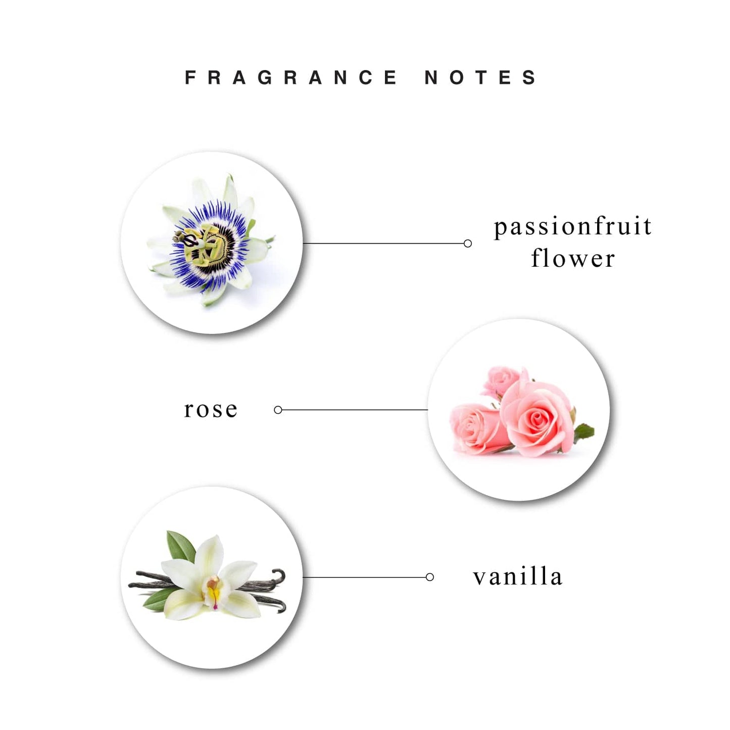 Fragrance Notes of Alluring Perfumed Talc