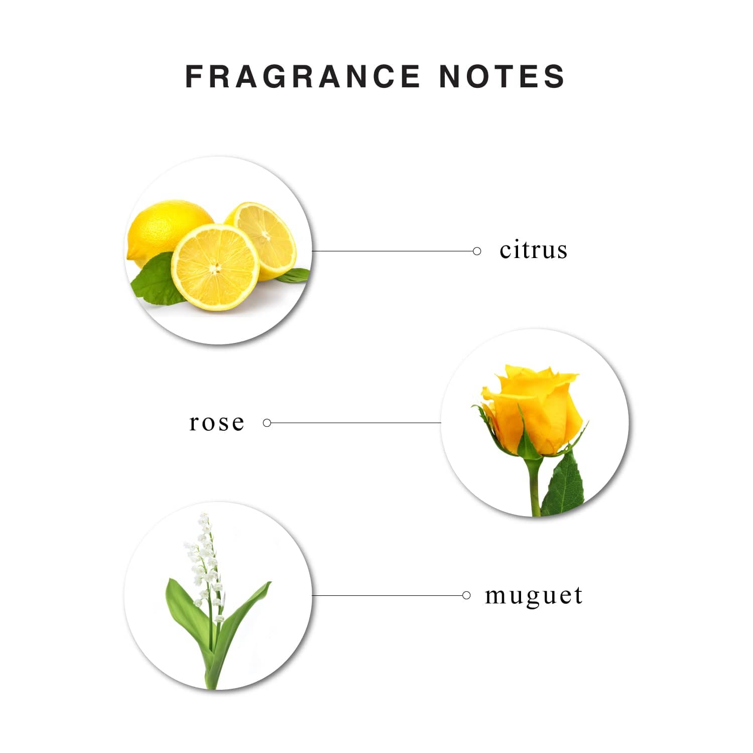 Fragrance Notes of Charming Perfumed Talc